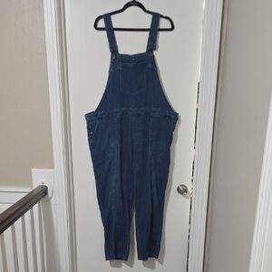 Anthropologie Pilcro Women's Blue Denim Overalls